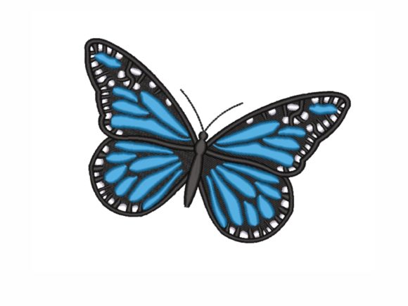 Blue Butterfly