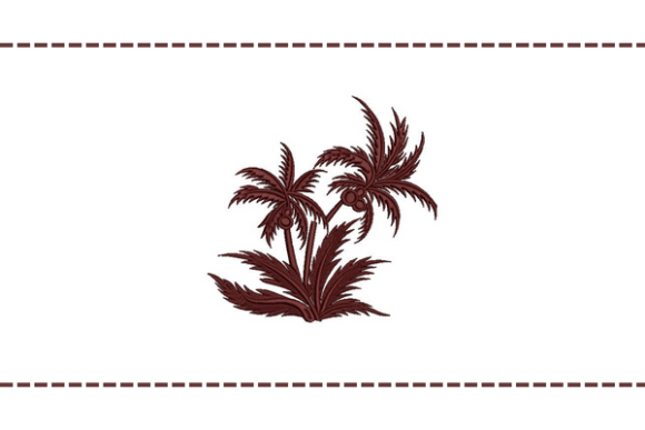 Coconut Tree