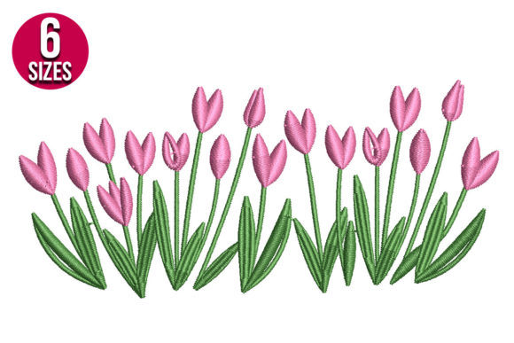 Tulip Flowers
